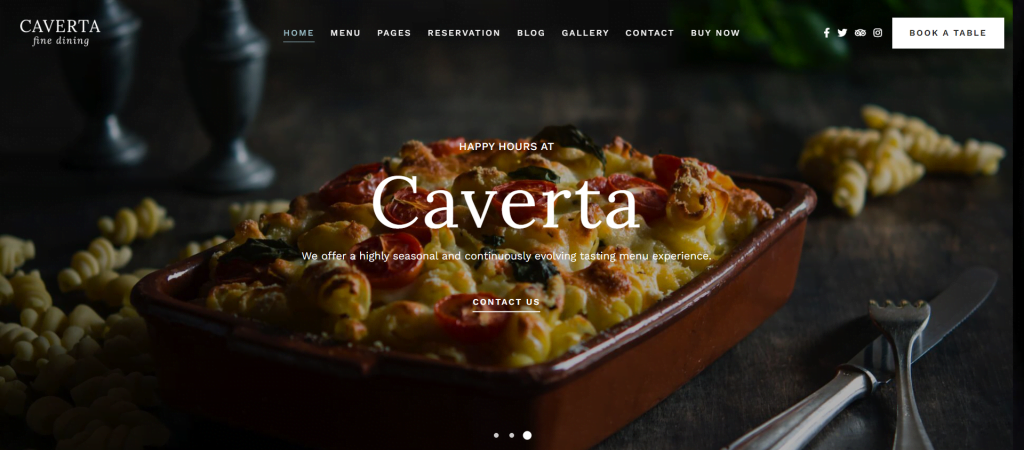 Caverta wordpress theme review