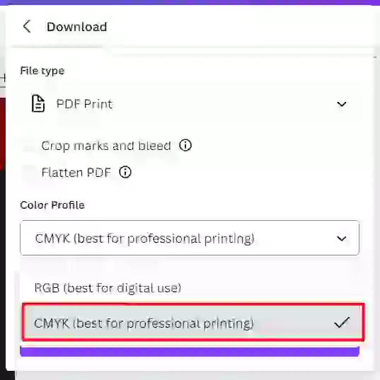 How To Print Canva Design (7 Easy Steps) 6 canva print color mode format